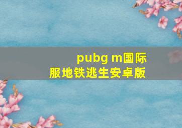 pubg m国际服地铁逃生安卓版